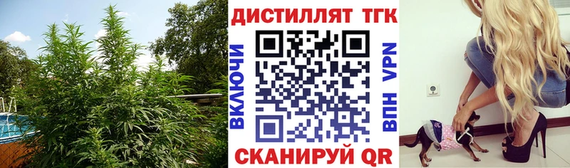 Купить Любим Дистиллят ТГК вейп с тгк
